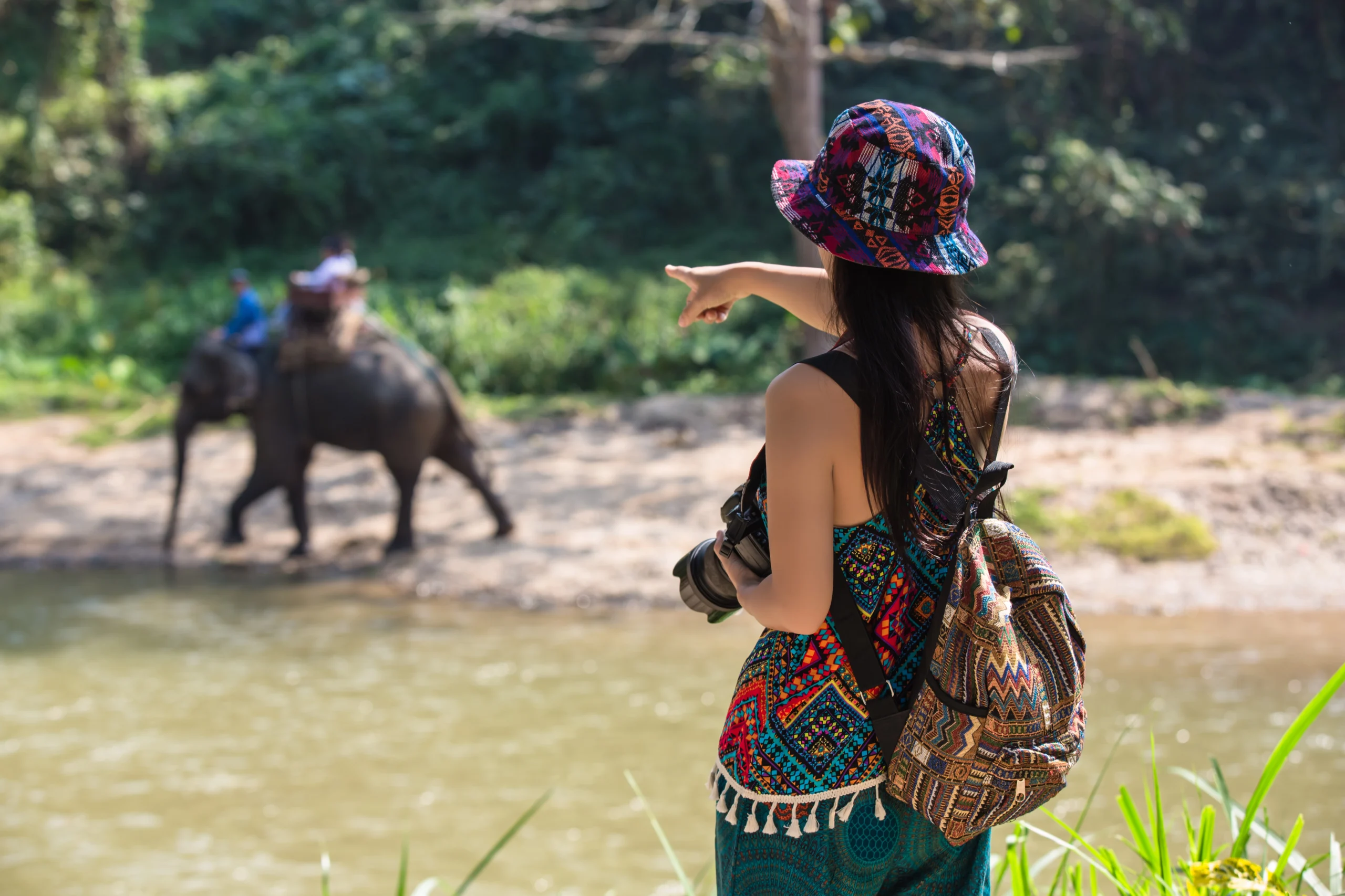 Dream Journey World travel company in Noida