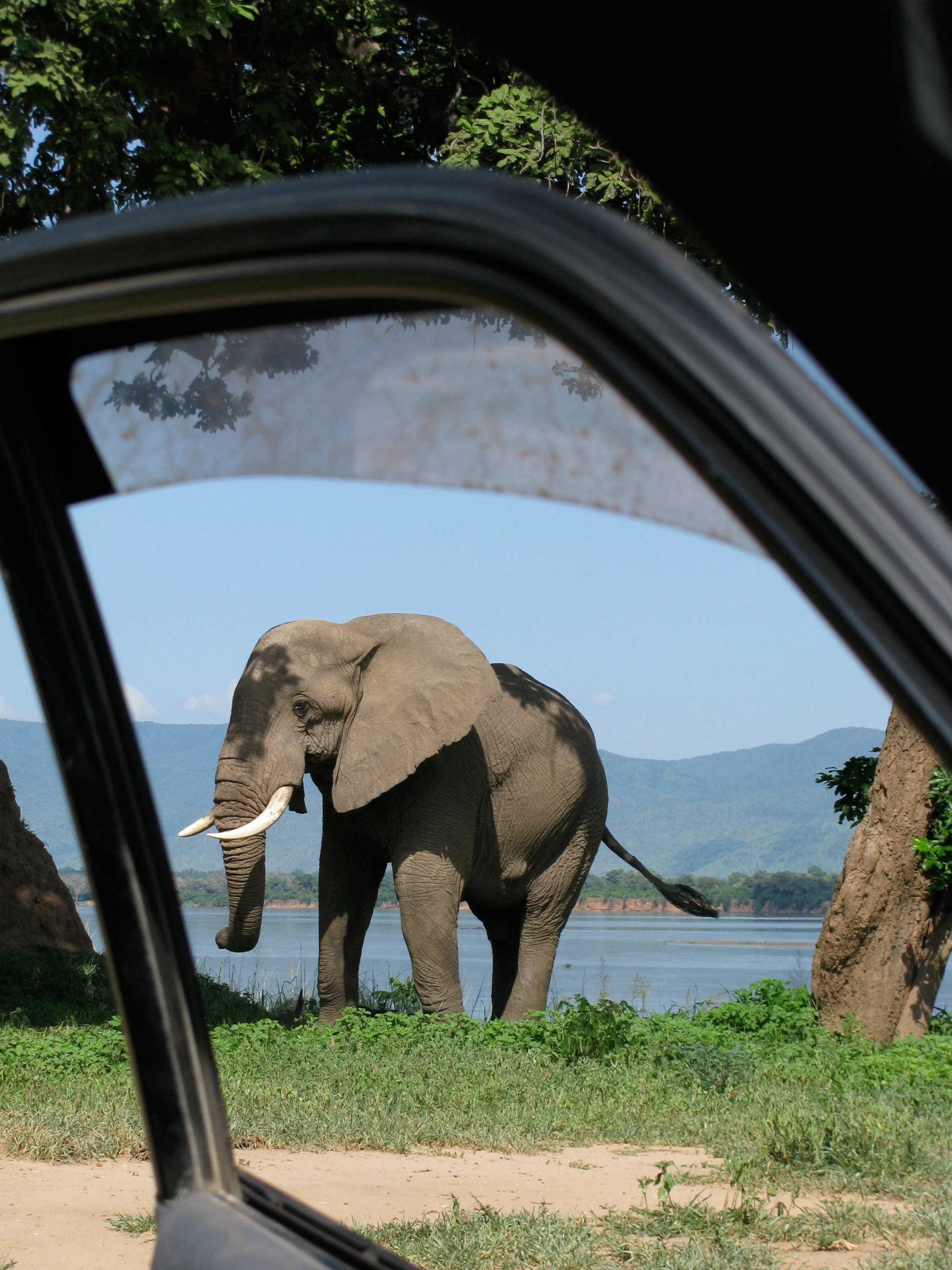 Dream Journey World travel company in Noida